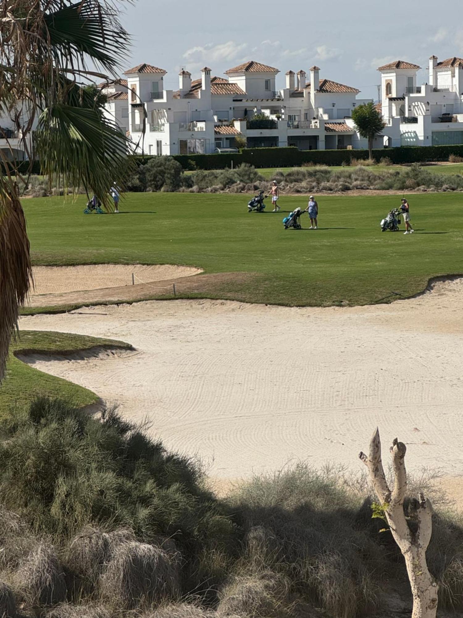 Villa Casa Dorada Townhouse La Torre Golf Extérieur photo